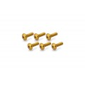 CNC Racing Steering Head Cover Bolt Kit for the Ducati Streetfighter V2 CNC Racing Steering Head Cover Bolt Kit for the Ducati Streetfighter V2